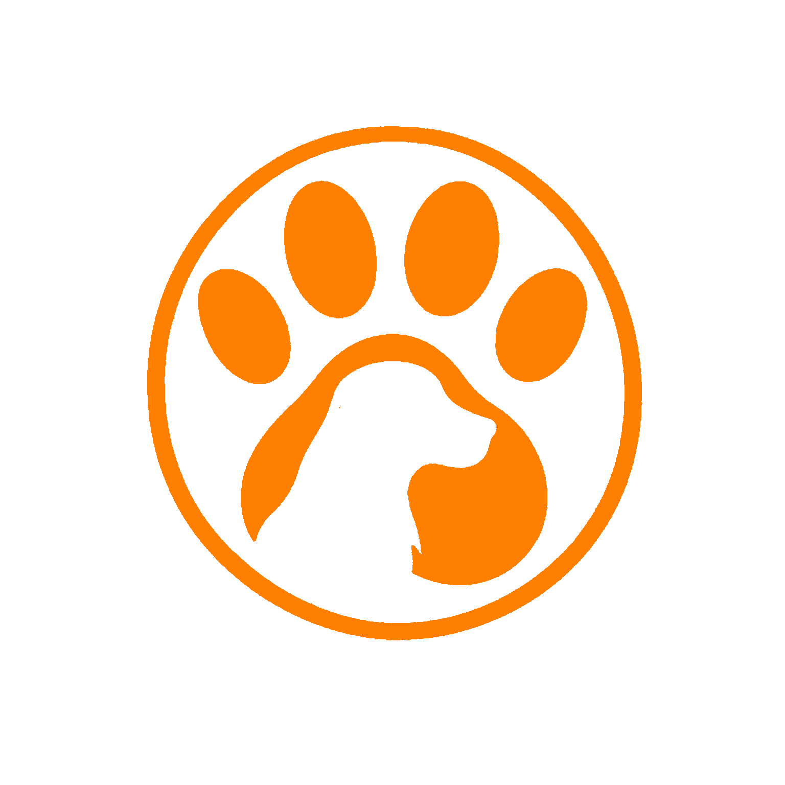 Pfotenphysio Leisten