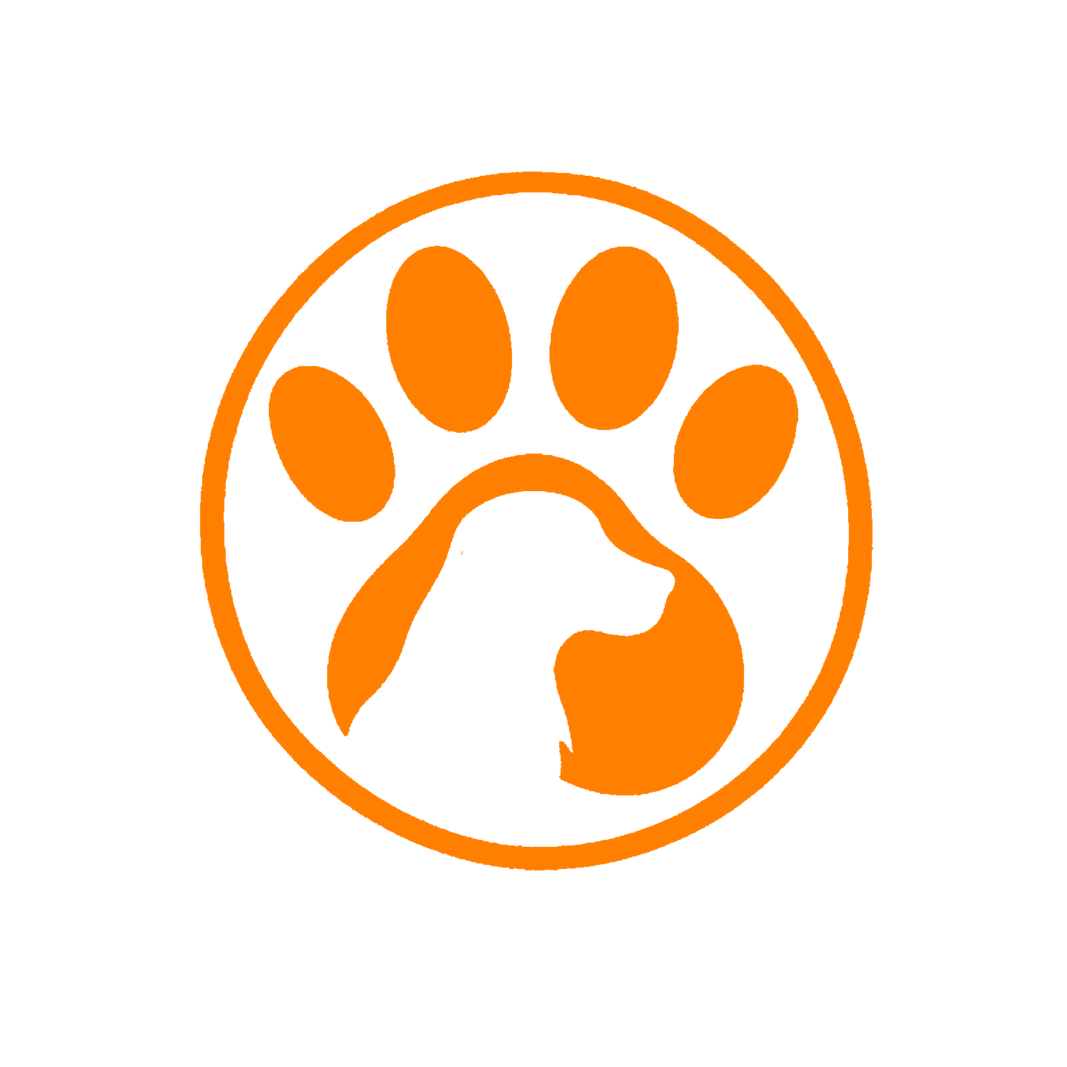 Pfotenphysio Leisten – mobile Hundephysiotherapie in Aachen